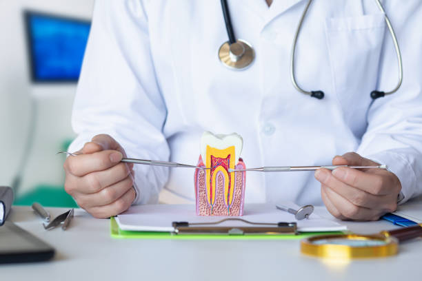 Best Emergency Tooth Extraction in Essexville, MI